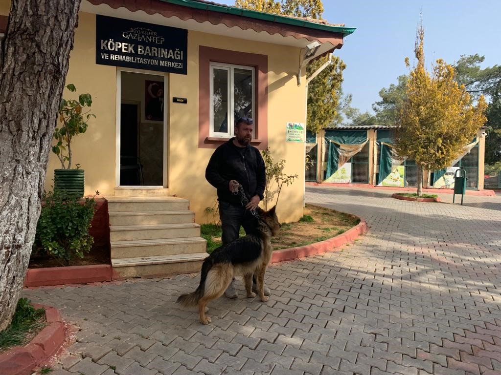 Gaziantep hayvan barınağı depremzede hayvanları sahipleniyor