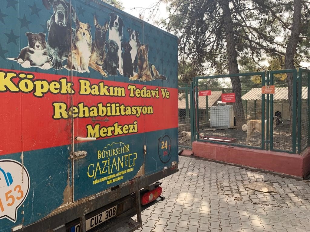 Gaziantep hayvan barınağı depremzede hayvanları sahipleniyor