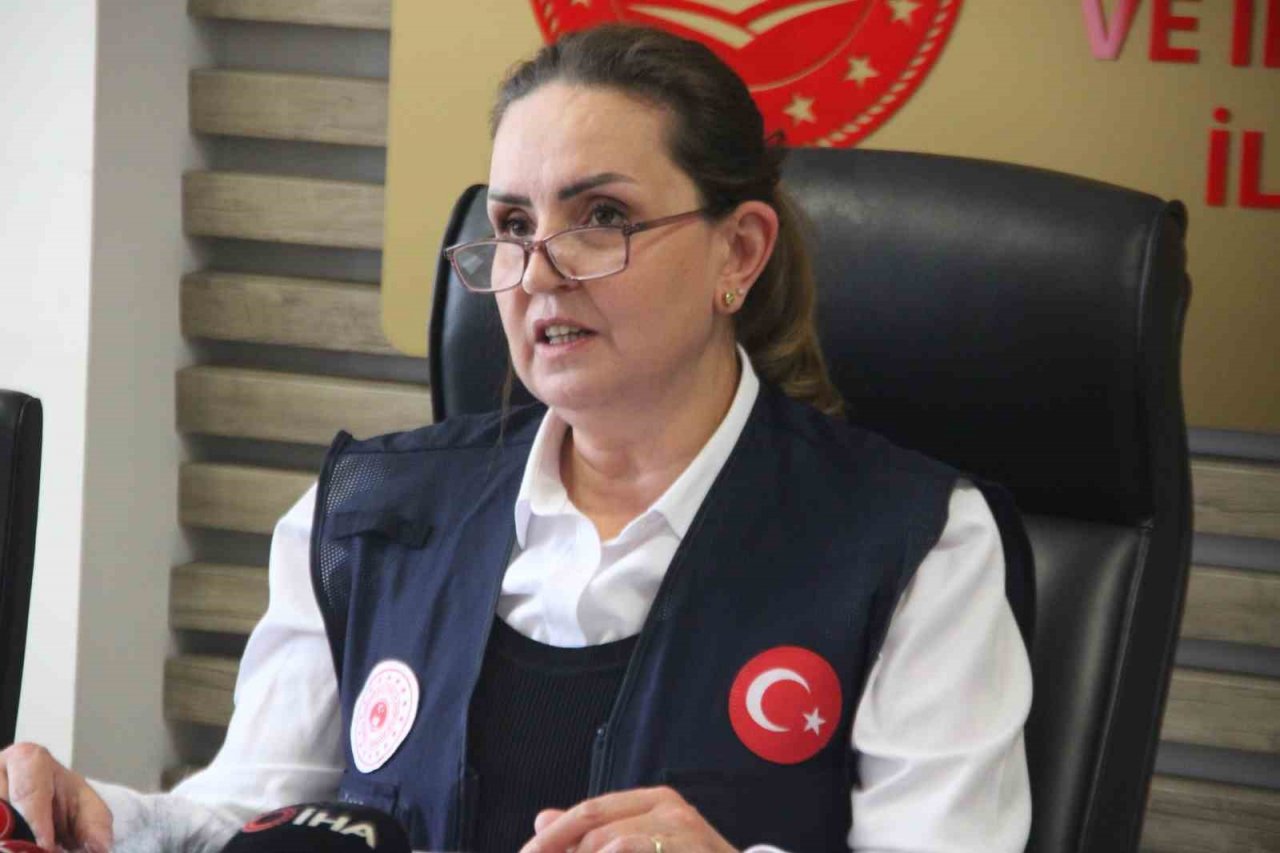 İl Müdürü Livdumlu: “Kayseri büyük oranda afet bölgesi ilan edilecek diye düşünüyorum”