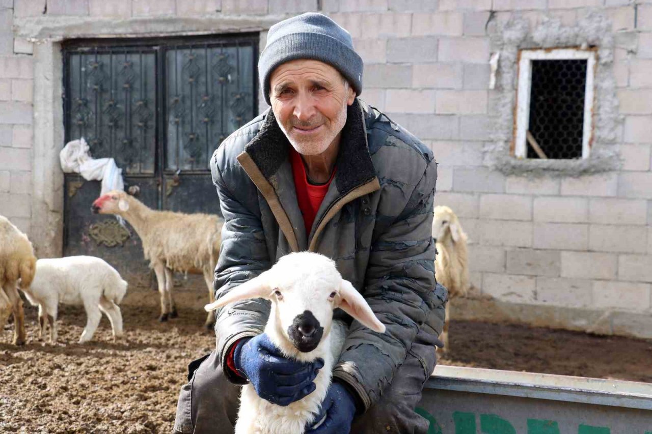 Kuzuların anneleriyle buluştuğu anlar görenlere tebessüm ettirdi