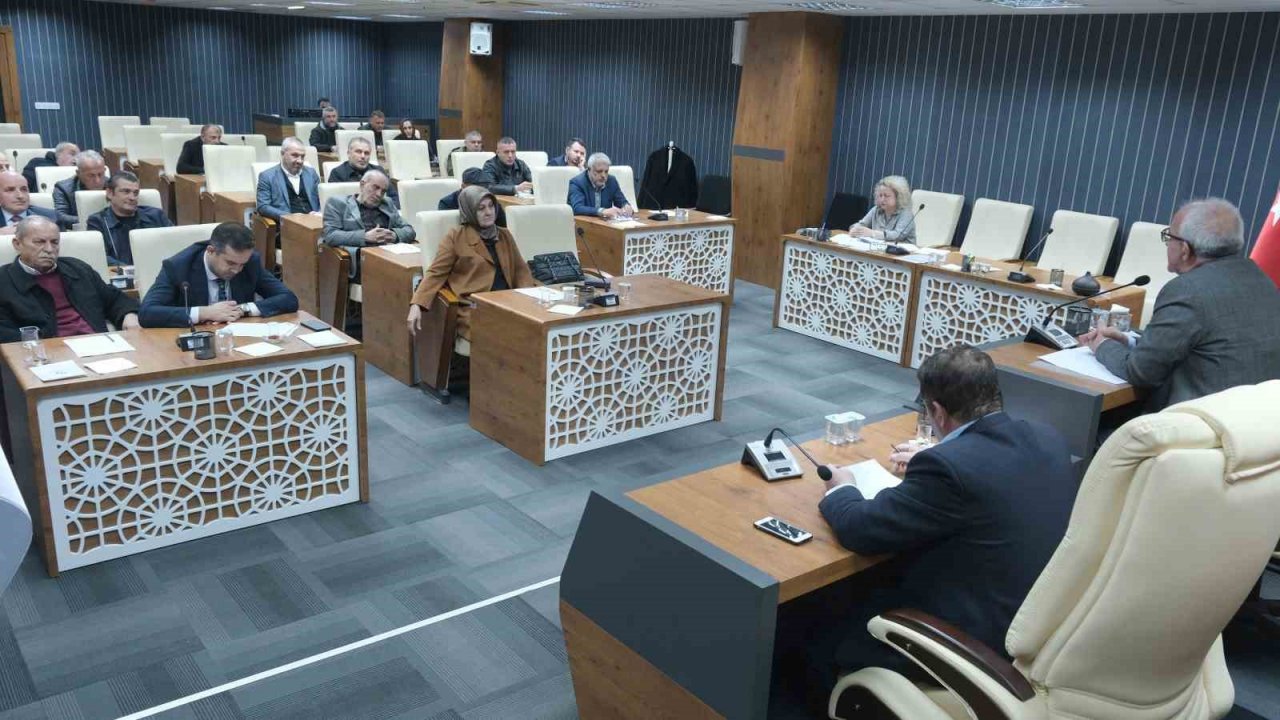 Karmil: "85 milyon tek vücut olduk"