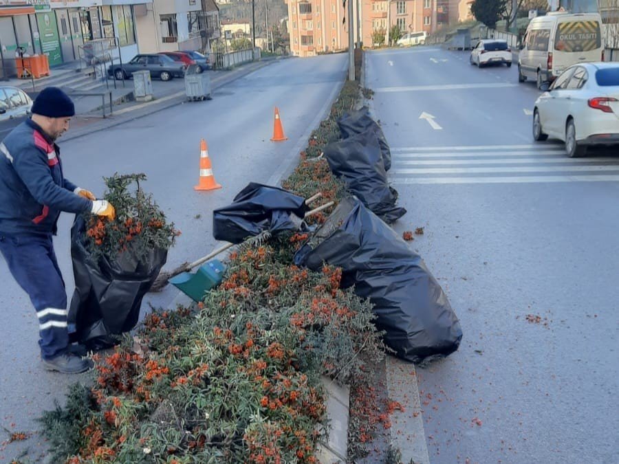 Derince’nin yeşil alanları bahara hazırlanıyor