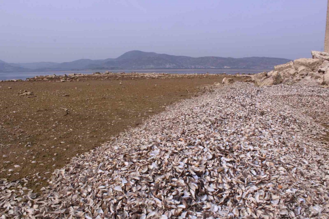 İzmir’de kuraklık sinyali