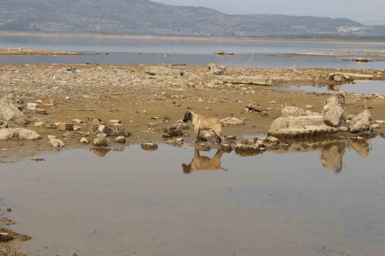 İzmir’de kuraklık sinyali