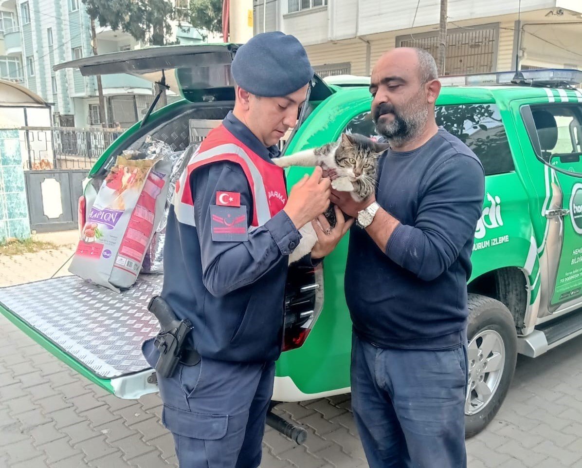 Binada mahsur kalan kediyi jandarma kurtardı