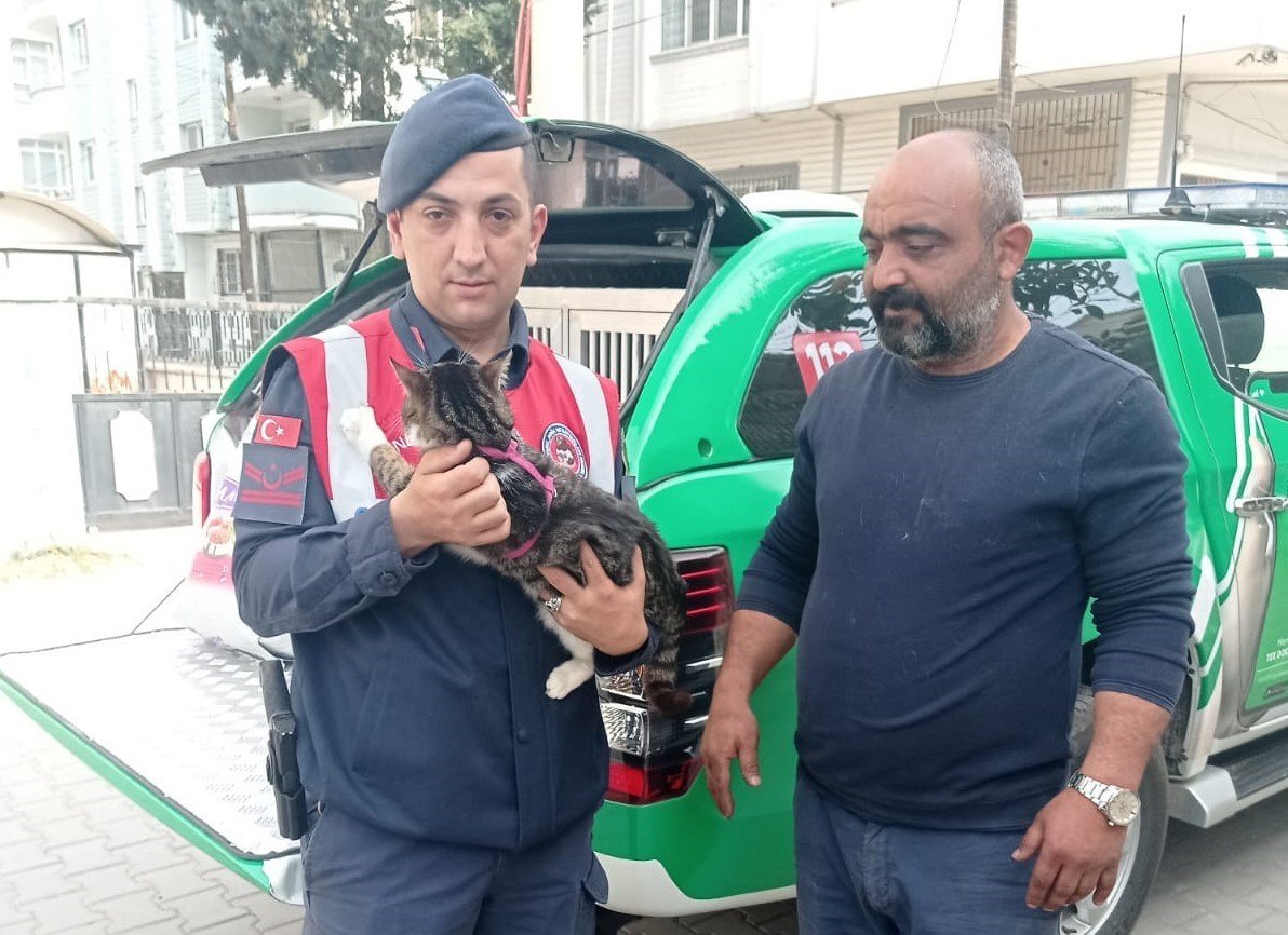 Binada mahsur kalan kediyi jandarma kurtardı