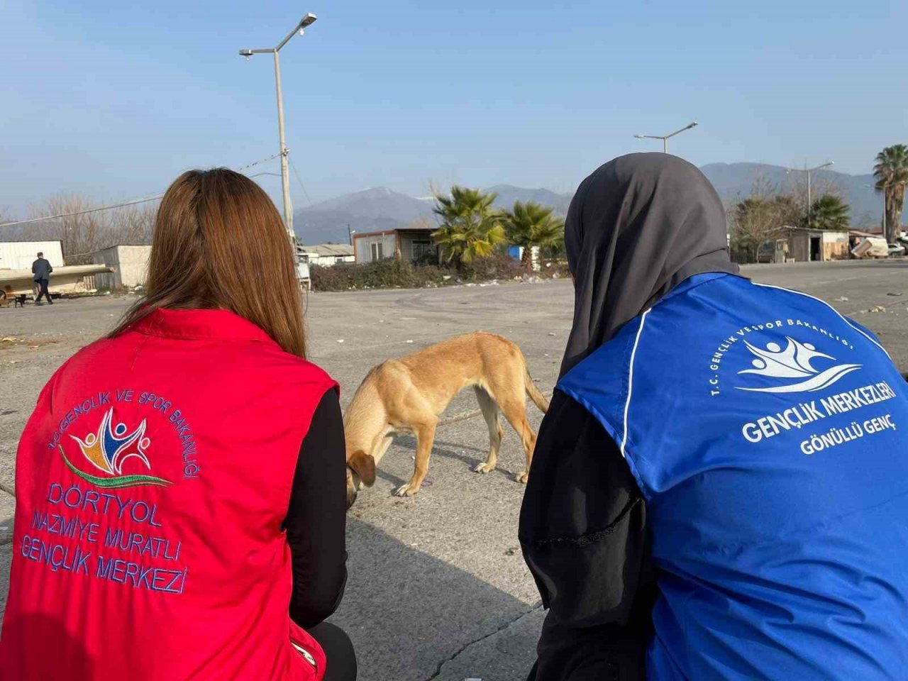 Almanya’da yaşayan gurbetçi, depremzede sokak hayvanlarını unutmadı