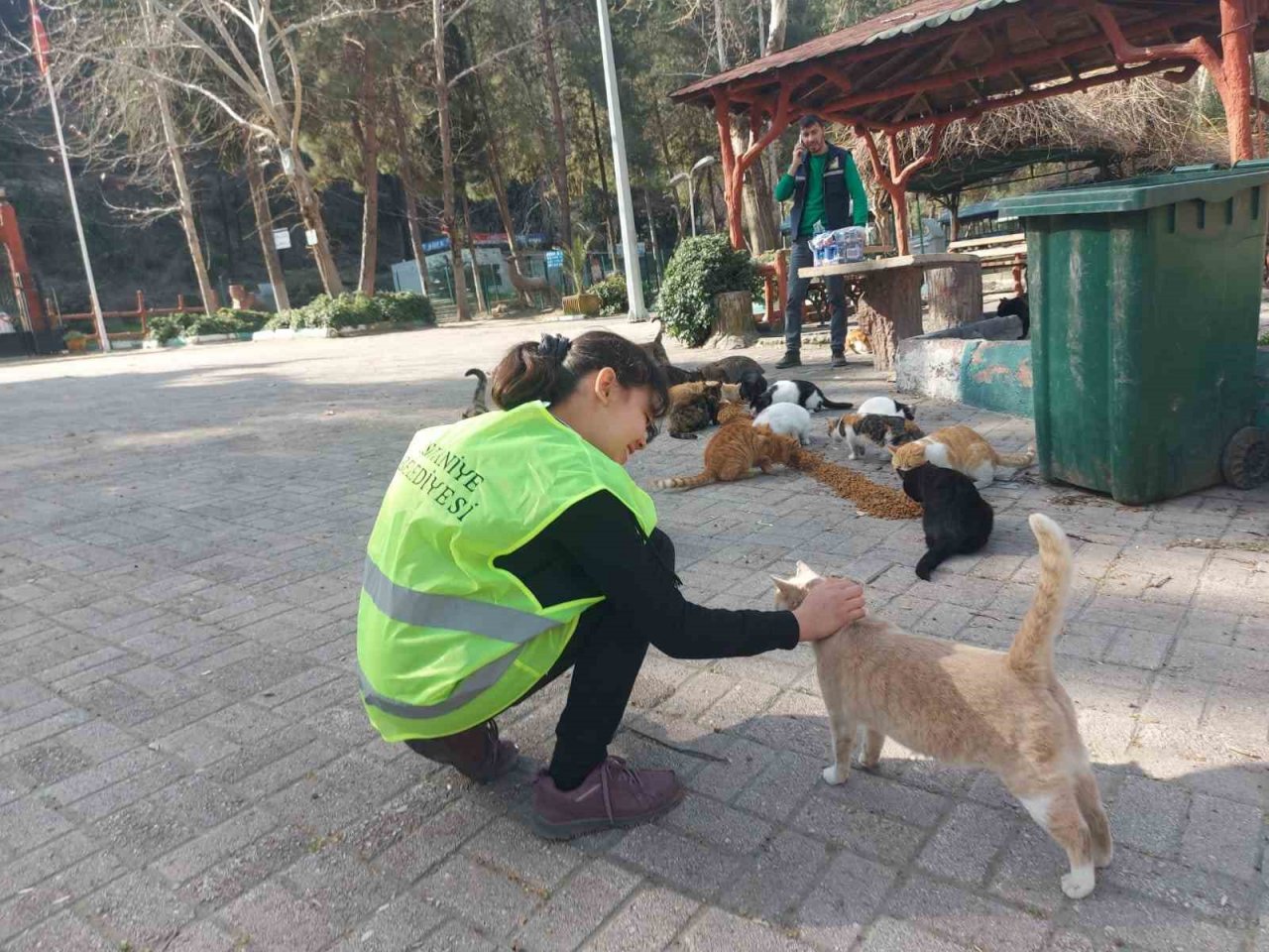 Osmaniye’de sokak hayvanlarına mama desteği
