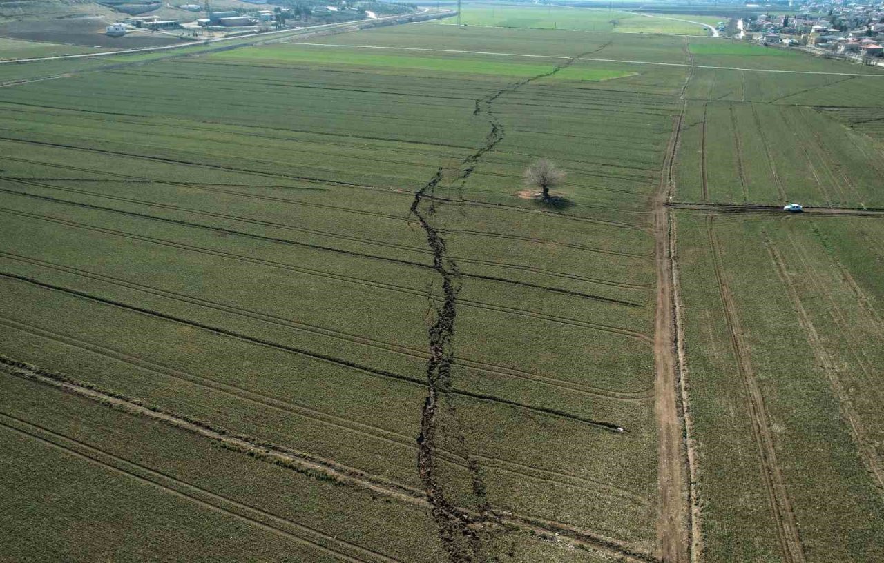 Deprem ülkesi Şilili akademisyen, deprem önerilerini anlattı: "İnsanlar inşaatı ciddiye alıyor"
