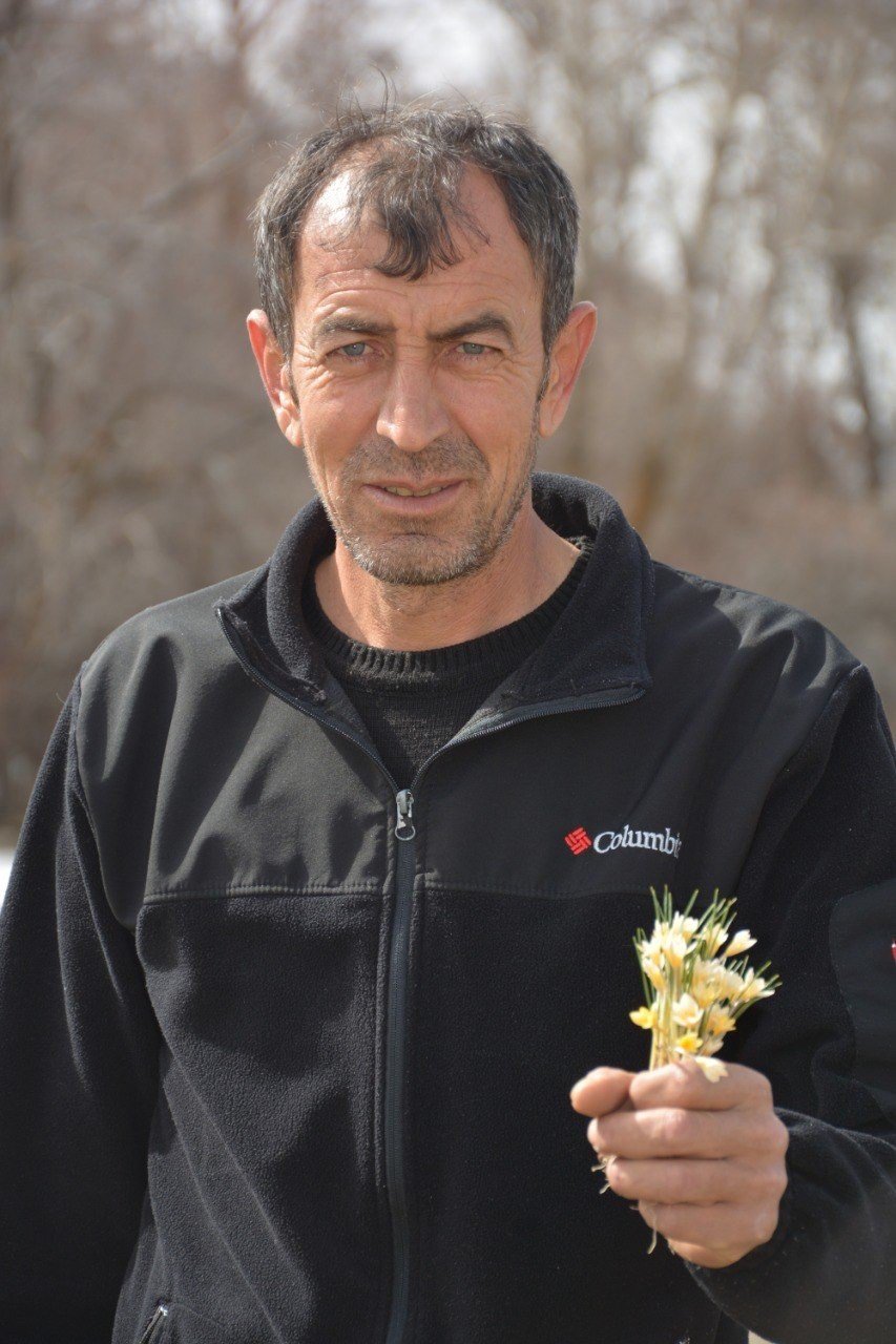 Baharın müjdecisi çiğdemler çiçek açtı, bozkır renklendi