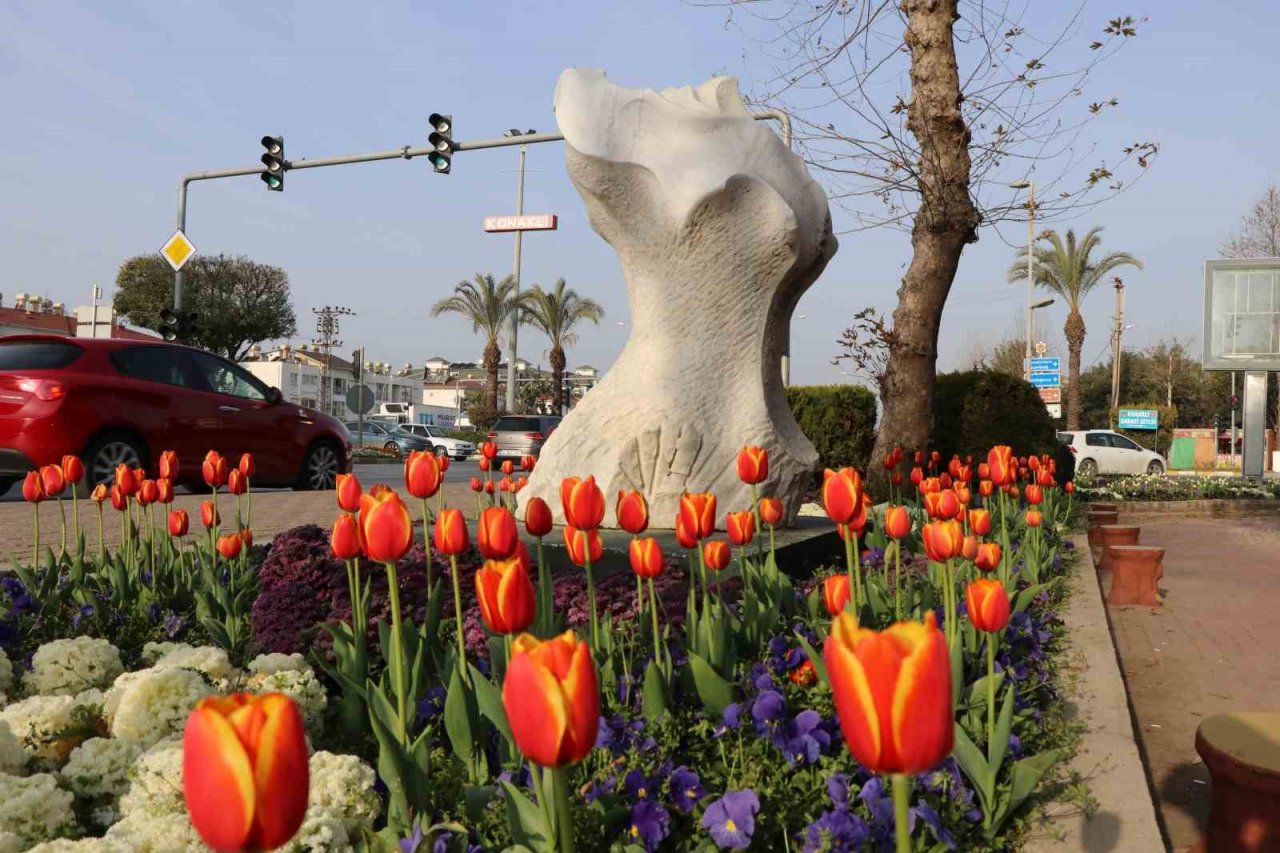 Alanya lale, sümbül ve nergislerle renklendi