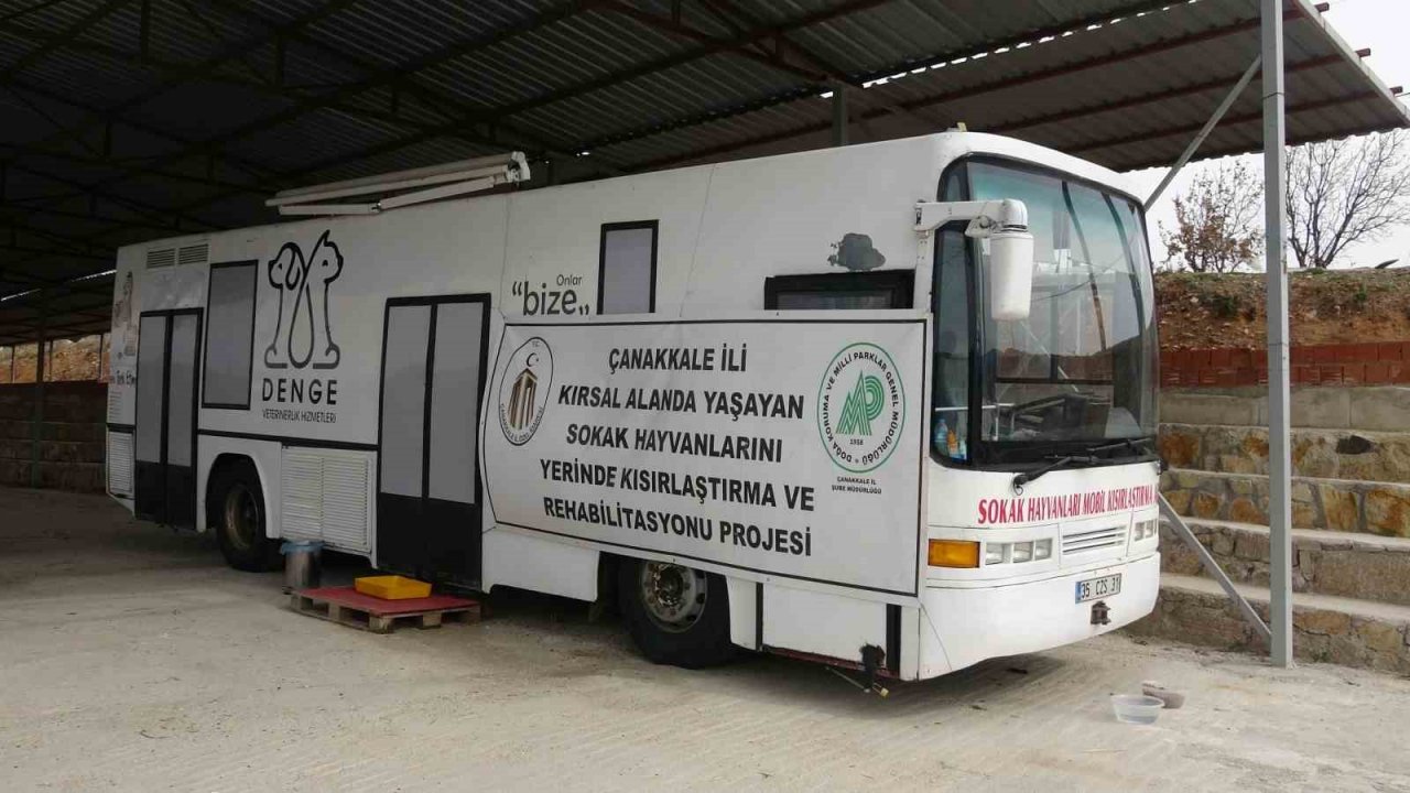 Çanakkale’de kırsaldaki 10 bin sokak hayvanı kısırlaştırılacak