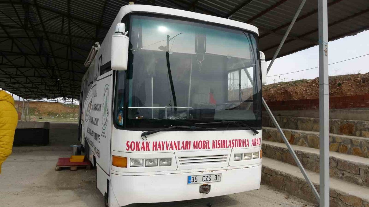 Çanakkale’de kırsaldaki 10 bin sokak hayvanı kısırlaştırılacak