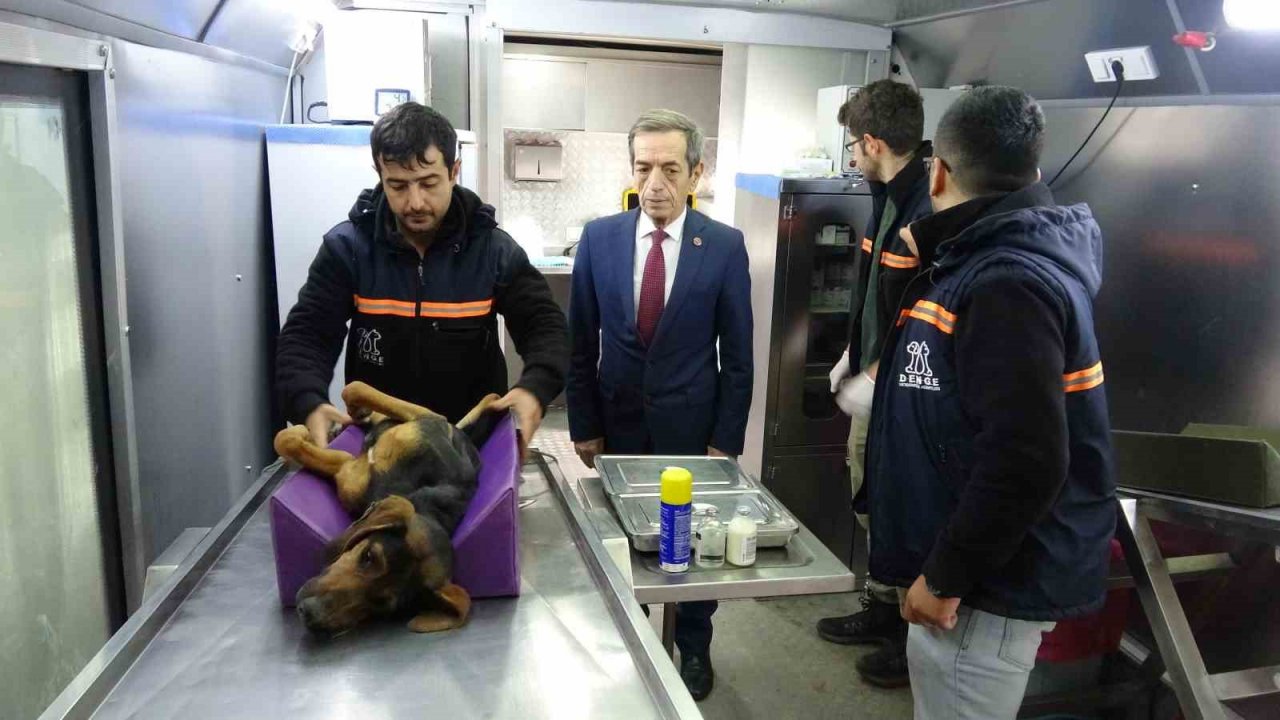 Çanakkale’de kırsaldaki 10 bin sokak hayvanı kısırlaştırılacak