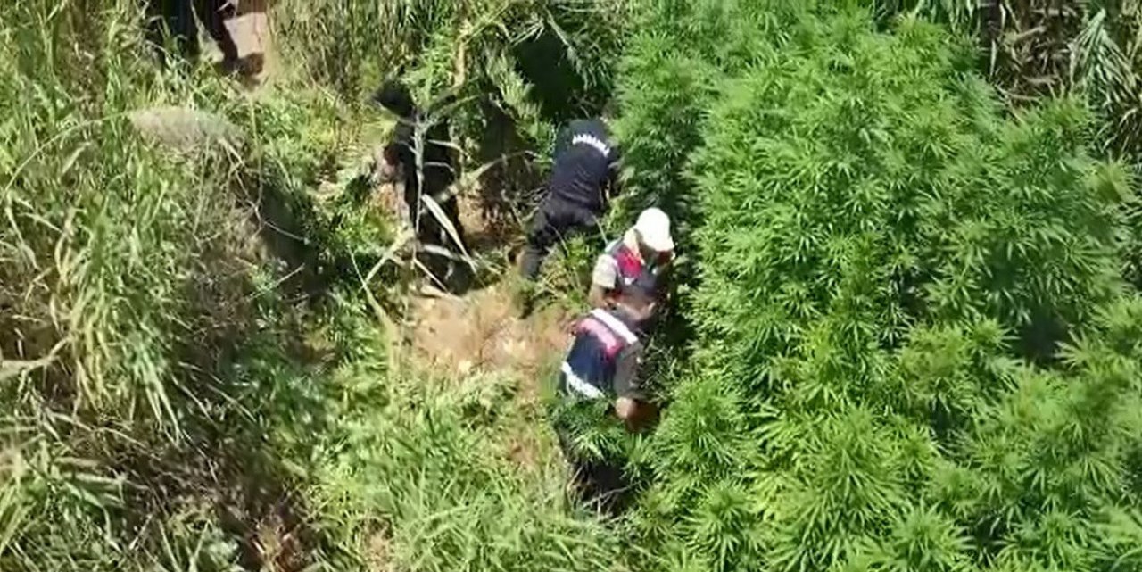 Denizli jandarması suçlulara geçit vermiyor