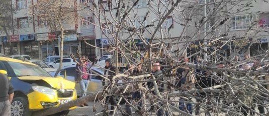 Otomobilin çarptığı ağaç devrildi: 1 yaralı