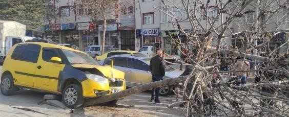 Otomobilin çarptığı ağaç devrildi: 1 yaralı