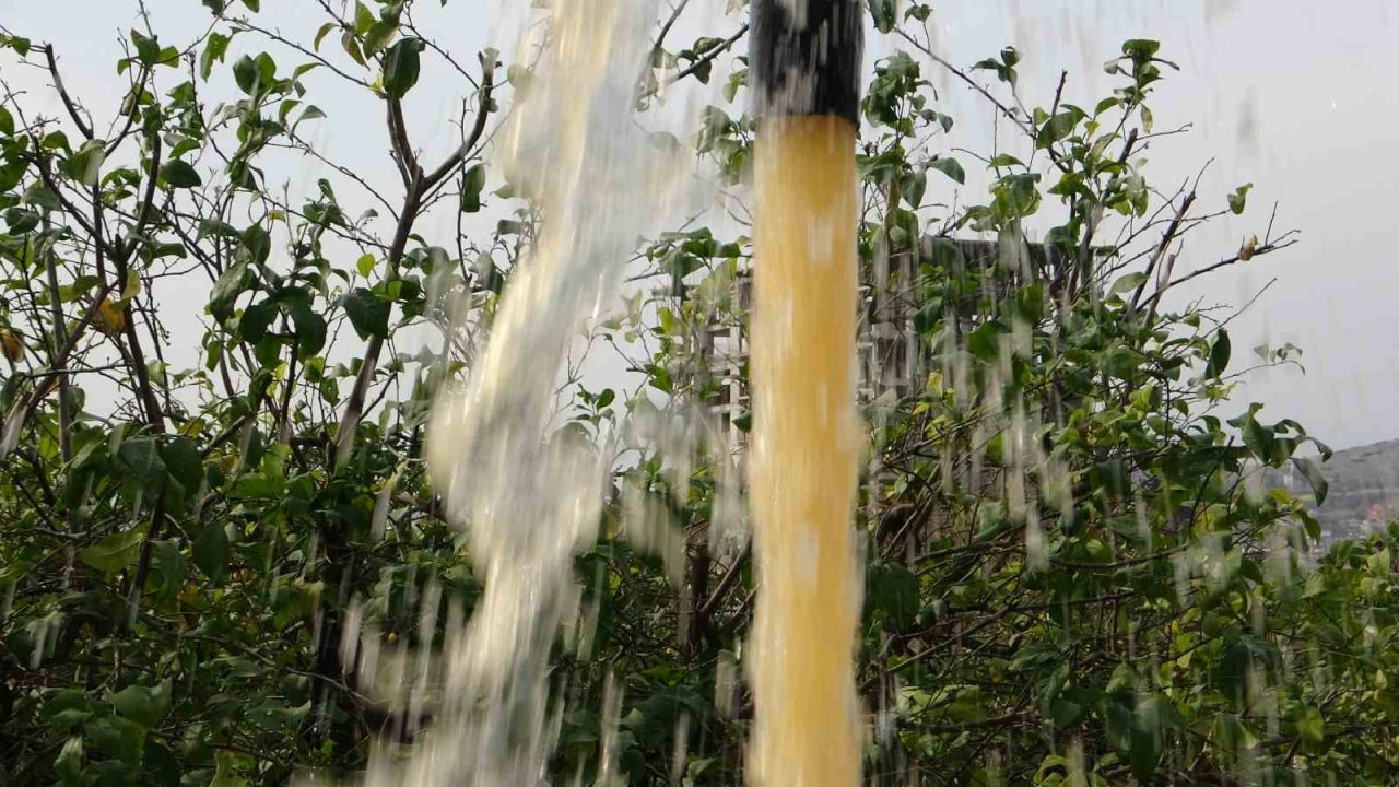 Narenciye üreticisi bahçe sularken fark etti: “Su çamurlu akmaya başladı”