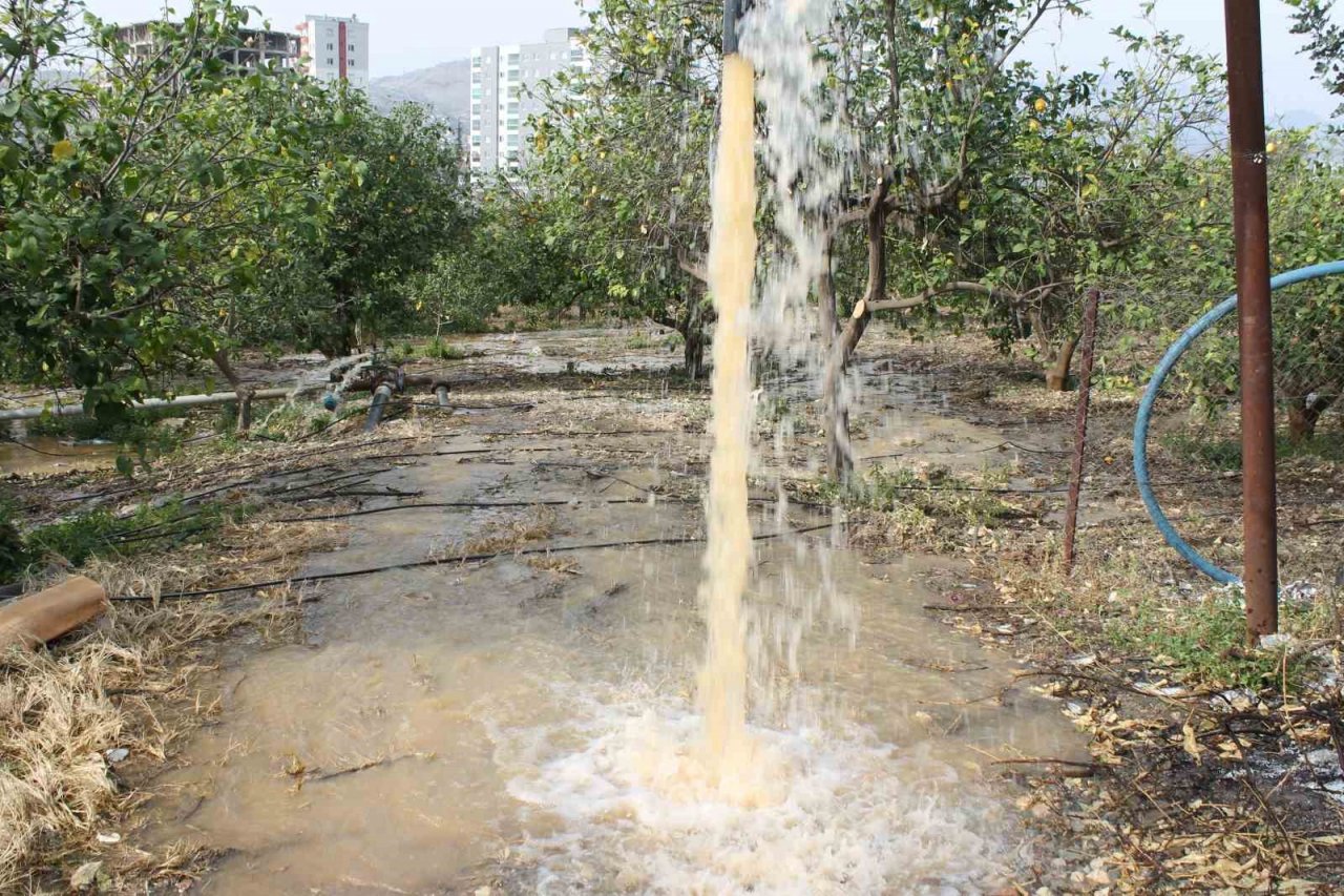 Narenciye üreticisi bahçe sularken fark etti: “Su çamurlu akmaya başladı”