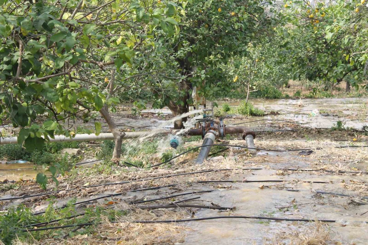 Narenciye üreticisi bahçe sularken fark etti: “Su çamurlu akmaya başladı”