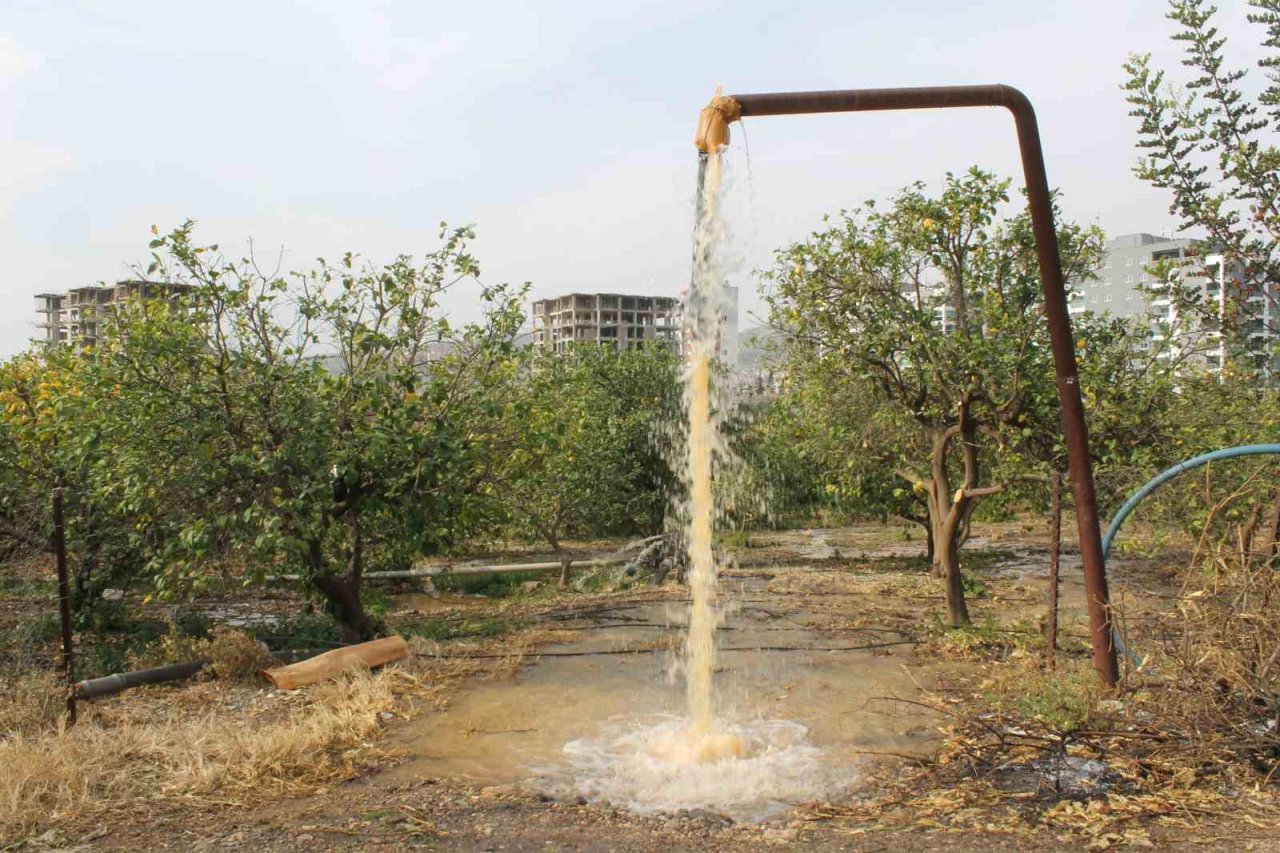 Narenciye üreticisi bahçe sularken fark etti: “Su çamurlu akmaya başladı”