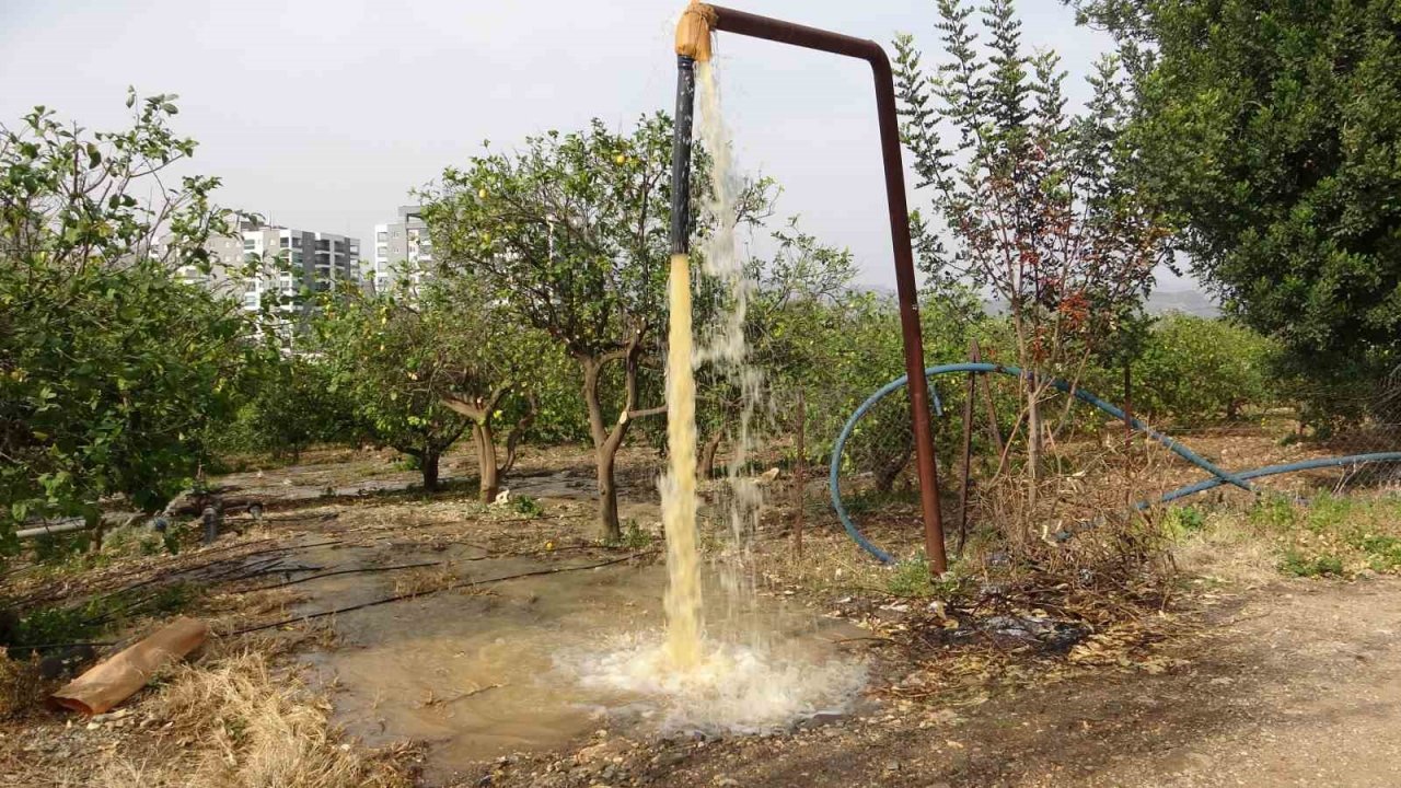 Narenciye üreticisi bahçe sularken fark etti: “Su çamurlu akmaya başladı”