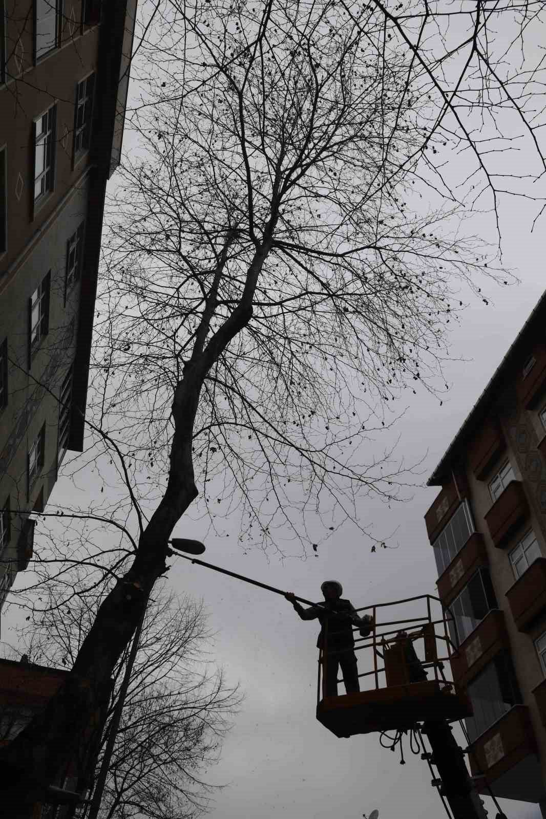 Kartal’da Bahara hazırlık için binlerce ağaç budandı