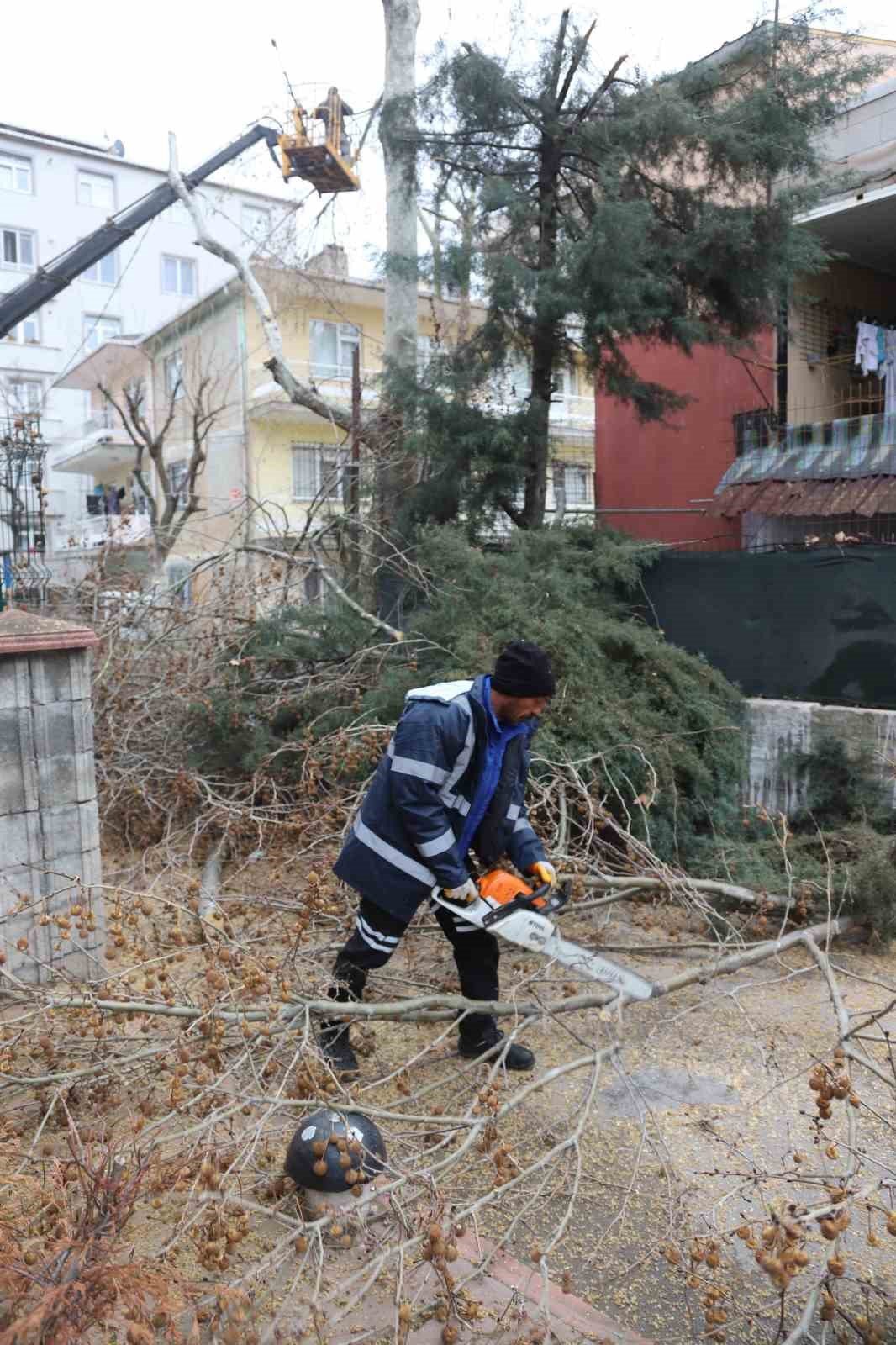 Kartal’da Bahara hazırlık için binlerce ağaç budandı