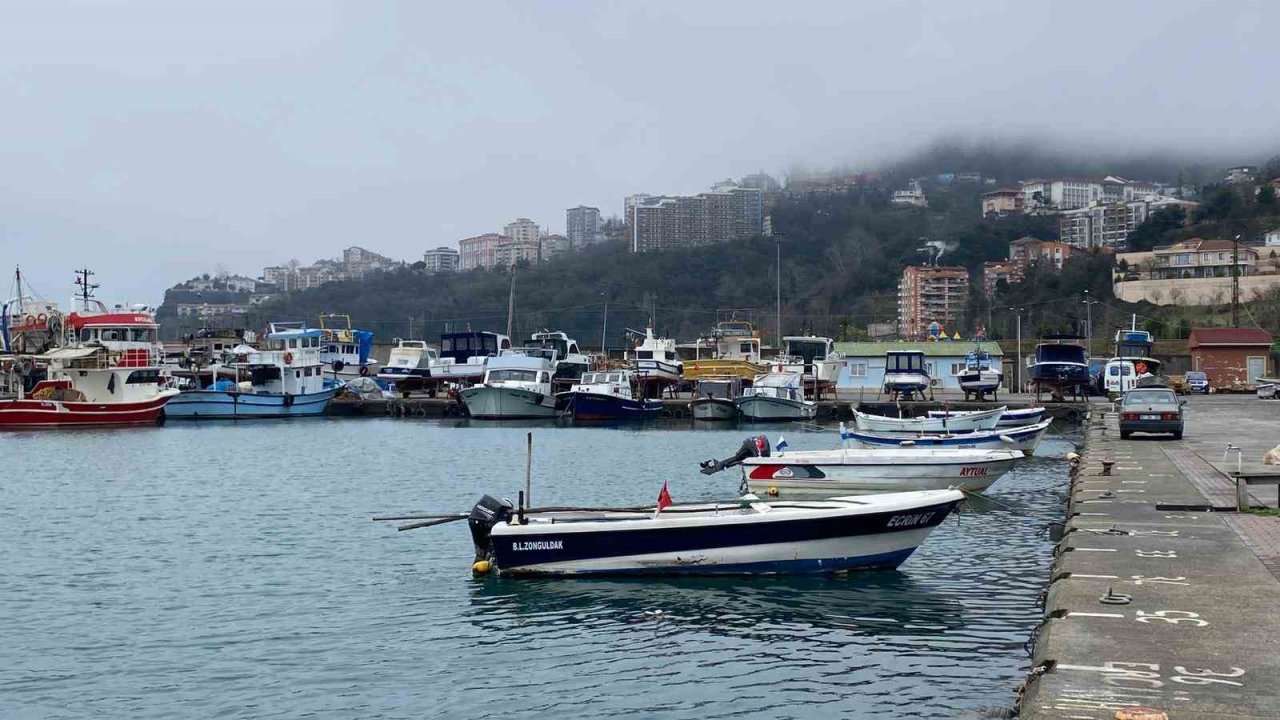 Kayhan, "Hamsi popülasyonu az olduğu için sezon yetersiz geçti"