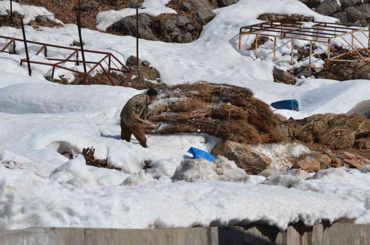 Doğuda kış çilesi devam ediyor