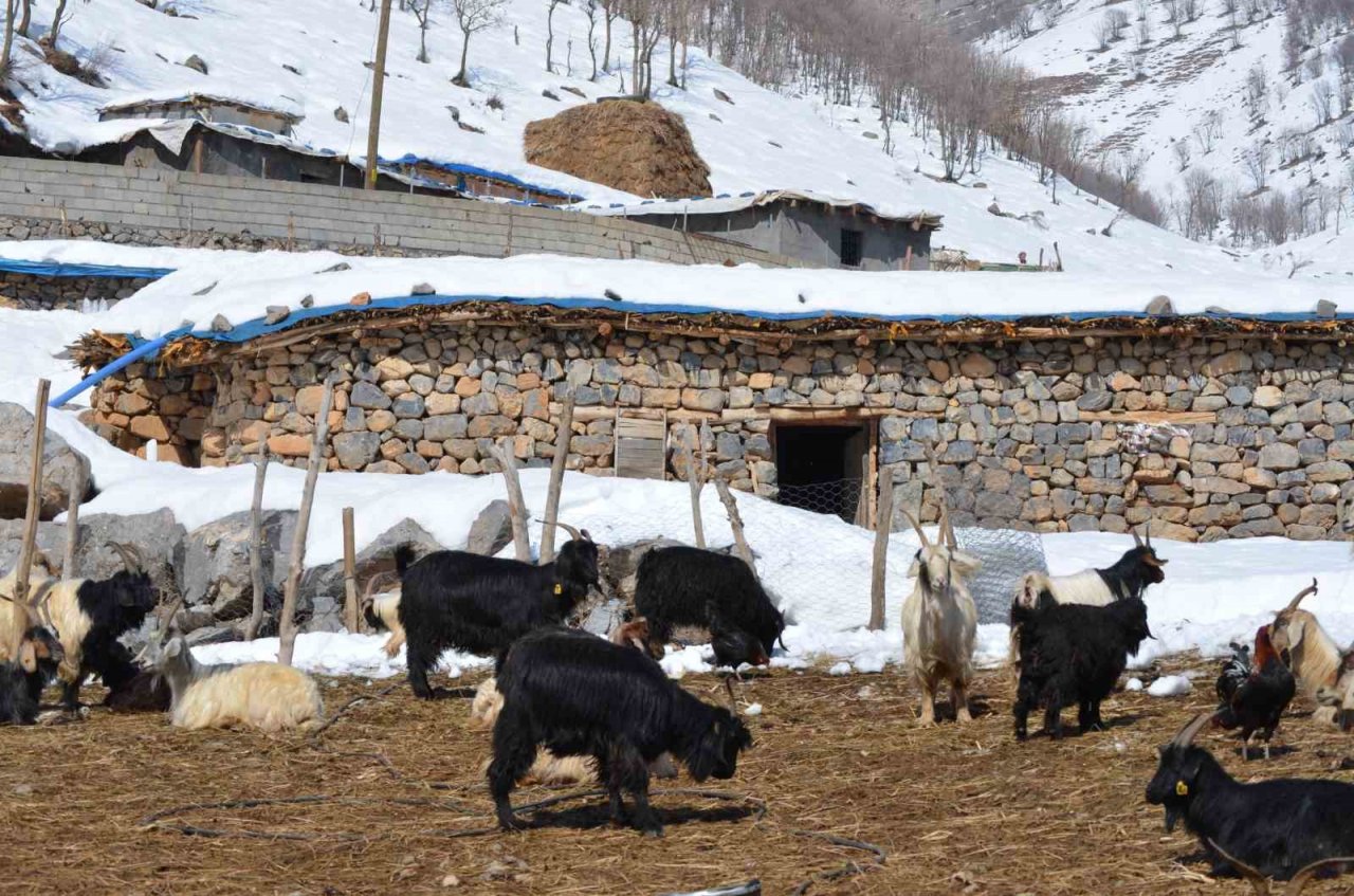 Doğuda kış çilesi devam ediyor