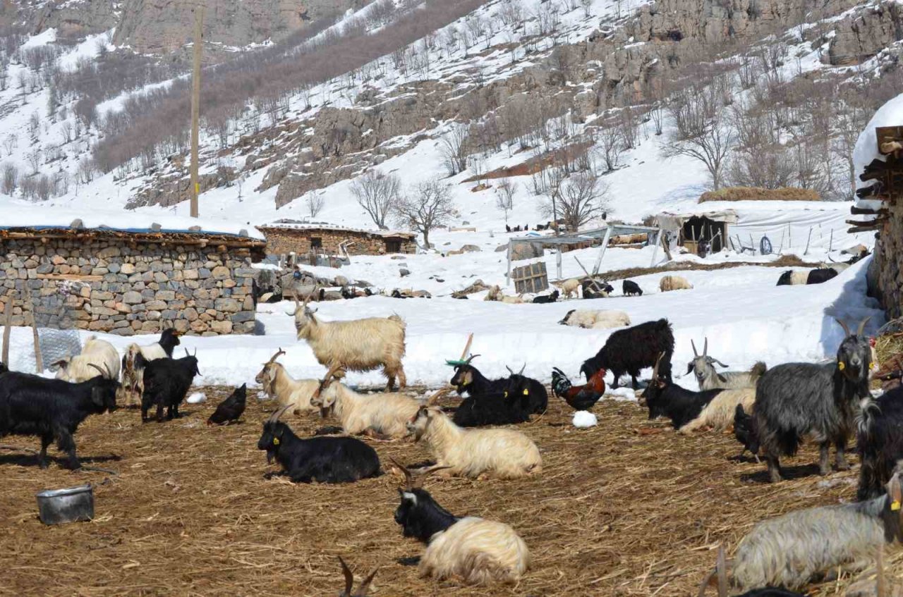 Doğuda kış çilesi devam ediyor