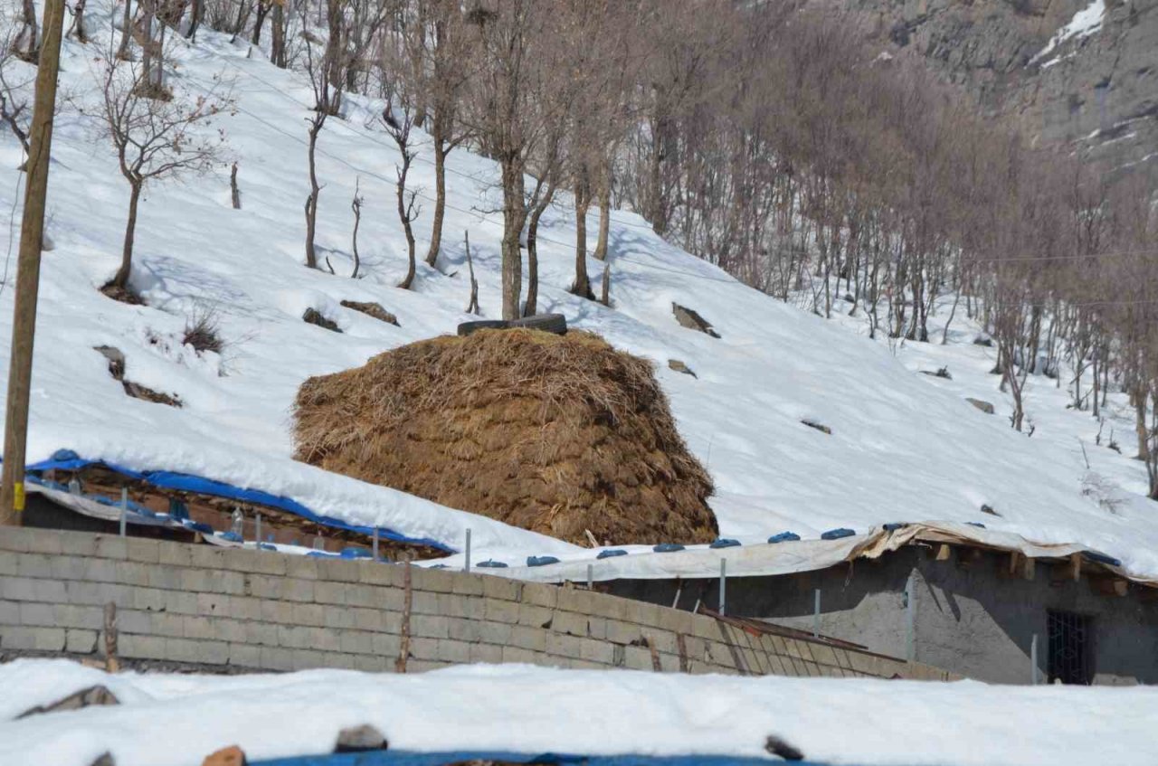 Doğuda kış çilesi devam ediyor