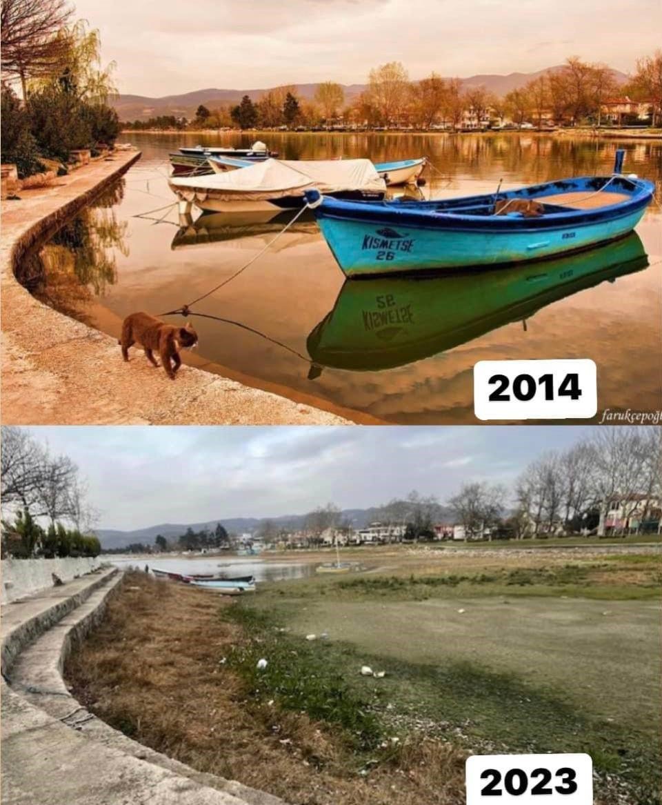 Bursa İznik Gölü kuruyor: ’Göldeki çekilme korkutucu boyuta ulaştı’