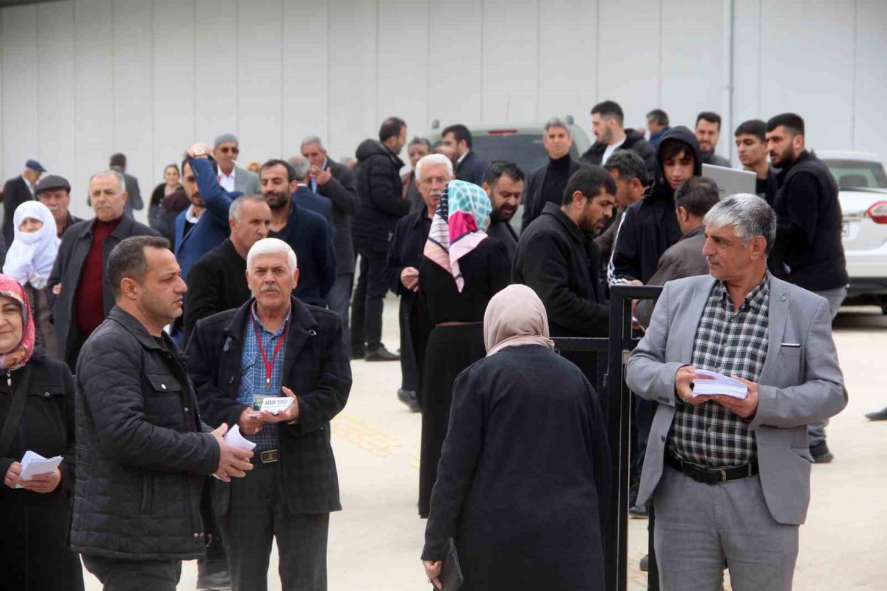 Muhtarlık seçimleri cumhurbaşkanlığı seçimlerini aratmadı