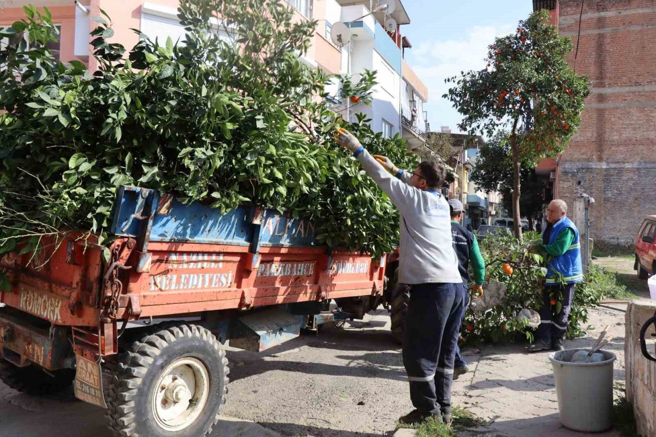 Nazilli’de bahar temizliği başladı