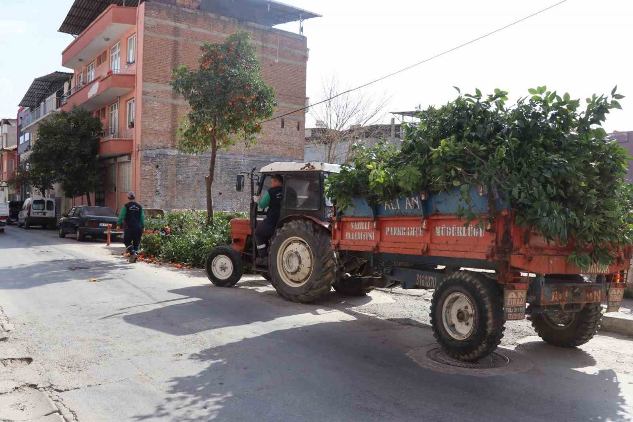 Nazilli’de bahar temizliği başladı