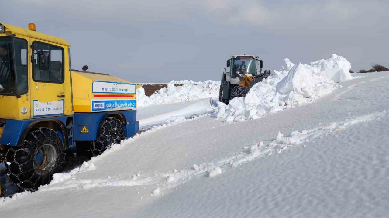 Muş’ta 5 metrelik karda zorlu çalışma
