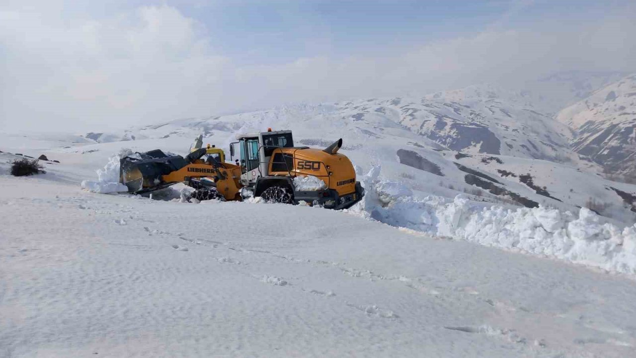 Muş’ta 5 metrelik karda zorlu çalışma
