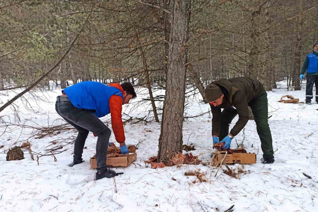 Ardahan’da yaban hayatı için doğaya yem bırakıldı