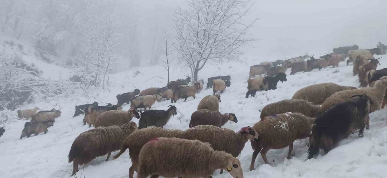 Sakarya’da yüksek kesimlerde kar yağışı etkili oluyor