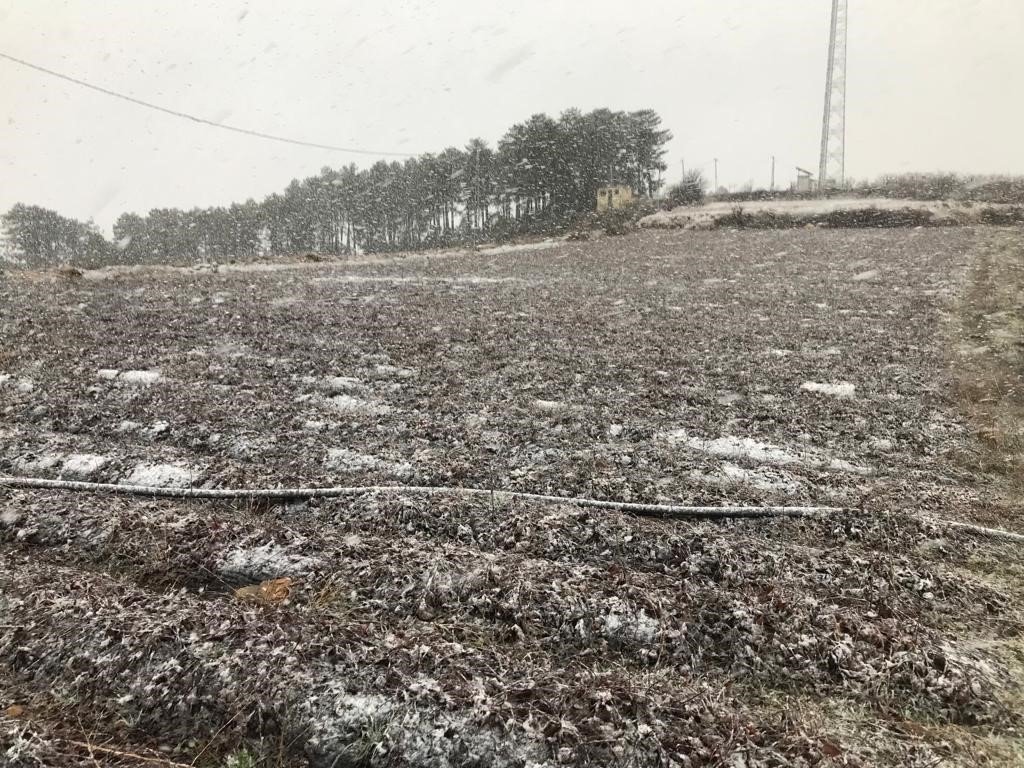 Denizli baharı karla karşıladı