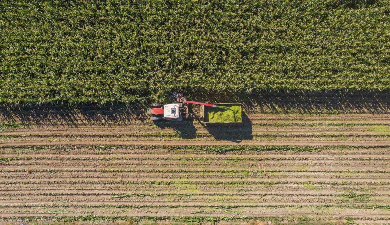 Denizli’de 3500 üreticiye 85 bin kilogram silajlık mısır tohumu dağıtıldı