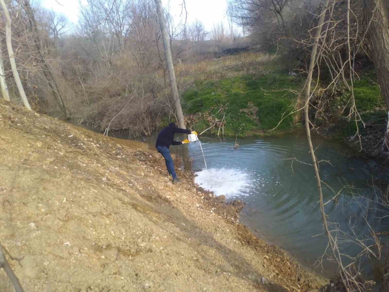 Kahta’da larva üreme noktalarını ilaçlanıyor