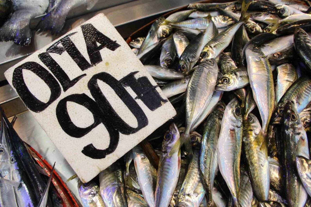 Hamsi sezonu kapattı, vatandaş istavrit ve mezgite yöneldi