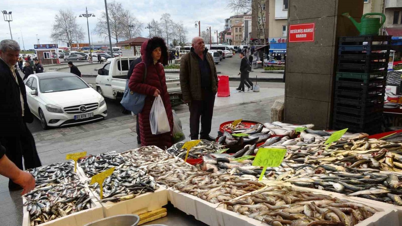 Hamsi sezonu kapattı, vatandaş istavrit ve mezgite yöneldi