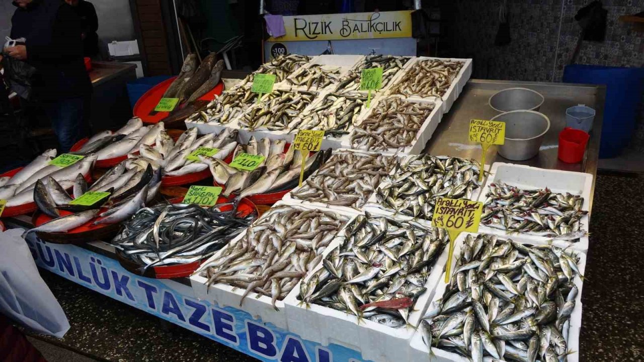 Hamsi sezonu kapattı, vatandaş istavrit ve mezgite yöneldi