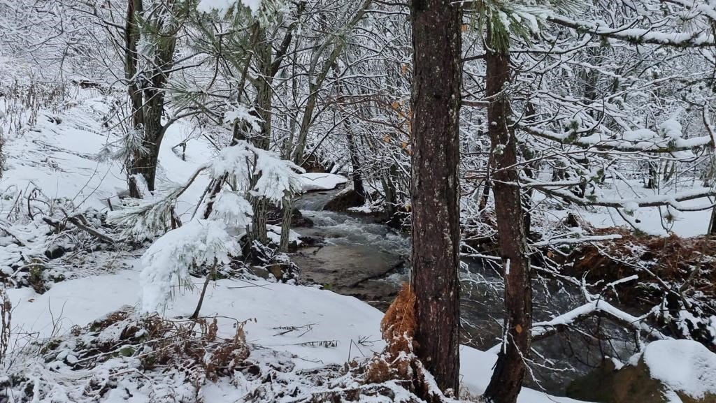 Kütahya’nın Domaniç Dağı’na mart karı