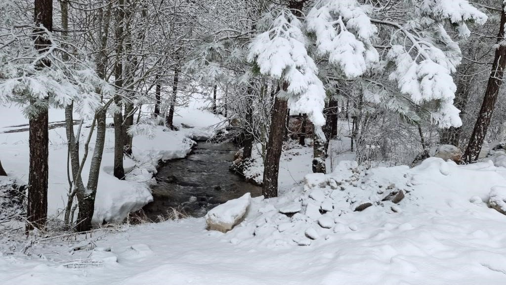 Kütahya’nın Domaniç Dağı’na mart karı