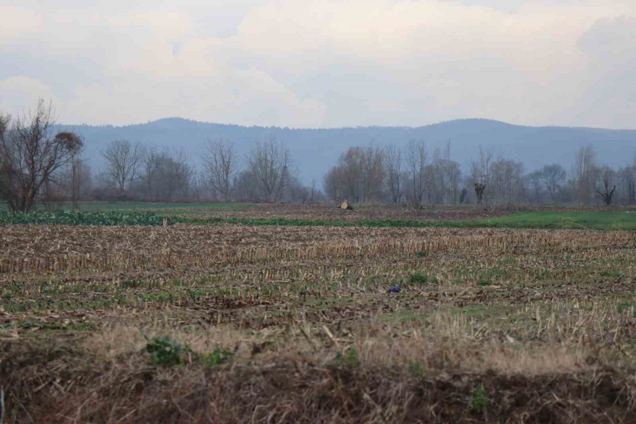 Kuraklığın tarıma etkisi